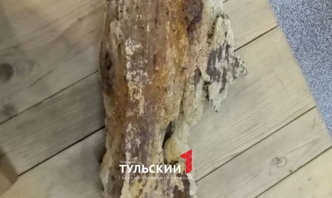 Тулякам показали фрагменты императорской яхты "Ливадия"