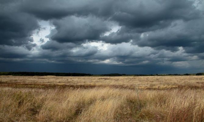 Холодно, но без осадков: погода в Туле 4 и 5 ноября