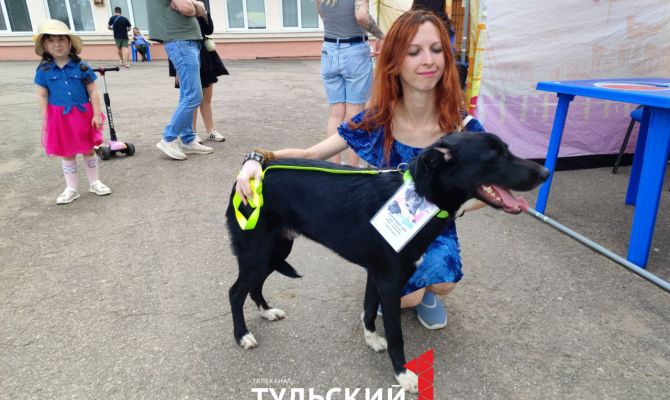 В Туле пушистые Джордж Харрисон и Джон Леннон ищут новый дом