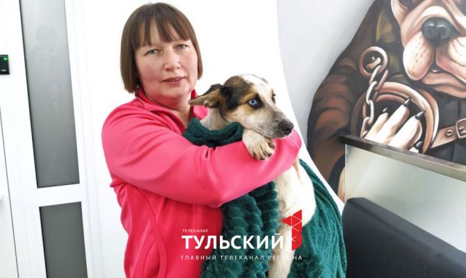 Волонтер из Алексина помогает брошенным животным найти новый дом