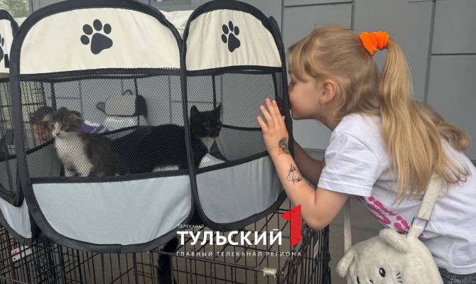 В Туле проходит благотворительная акция «Машина добра»