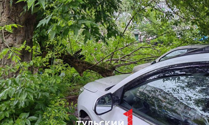 На улице Кауля в Туле дерево упало на машину