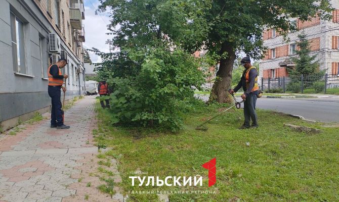 Кто и как часто должен косить траву в Туле
