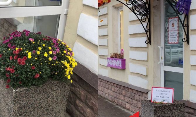 В Туле женщина дважды крала цветы с клумбы сувенирного магазина