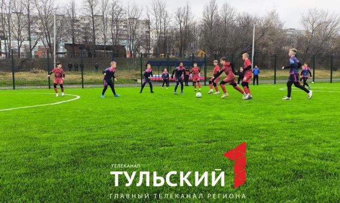 В Центральном парке Тулы пройдет турнир по панна-футболу