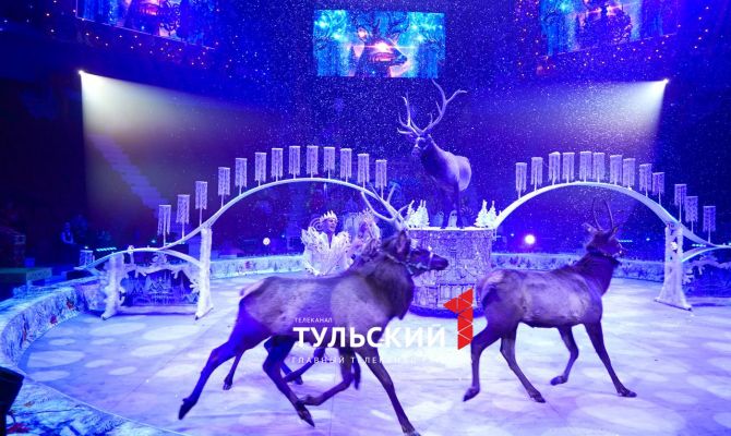 Тула на два дня стала цирковой столицей России