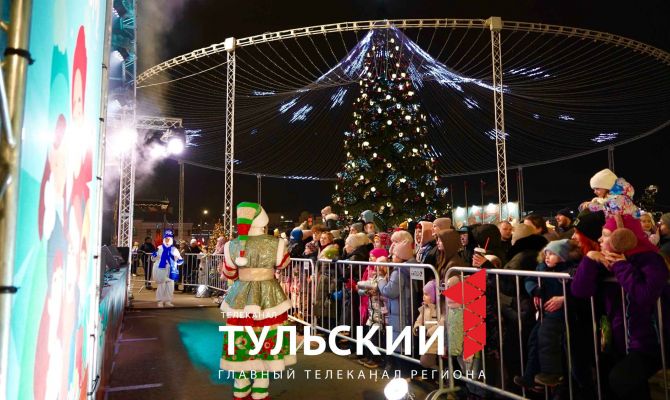 В районах Тульской области успели установить всего 20% новогодних елей