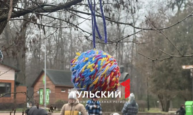 Деревья Центрального парка Тулы облачились в вязаные наряды