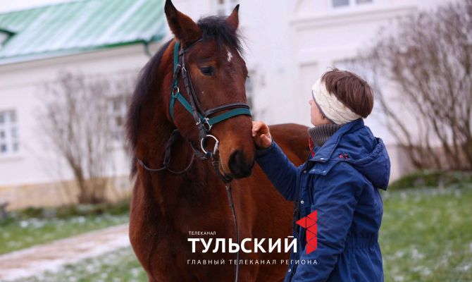 Сотрудники музея-усадьбы «Ясная Поляна» рассказали, как сейчас живёт Кентавр
