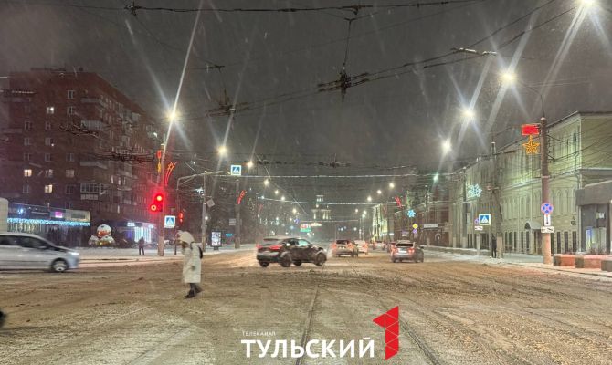 Туляков просят воздержаться от поездок на дальние расстояния в связи с непогодой