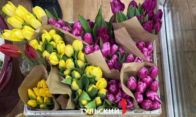 Тюльпаны по 150 рублей: во сколько тулякам обойдётся букет к 8 Марта