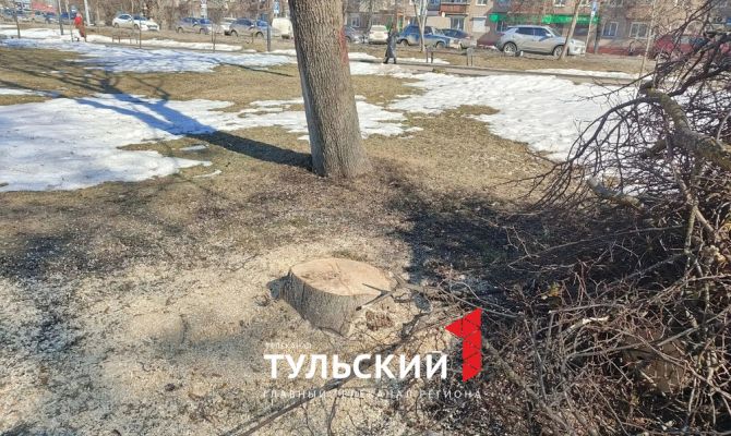 Туляки пожаловались на рубку деревьев в сквере памяти жертв политических репрессий