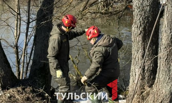 Спасатели назвали дату возможного пика паводка в Туле