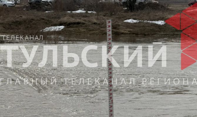 Упа у тульского села Никольское за сутки поднялась на полметра 