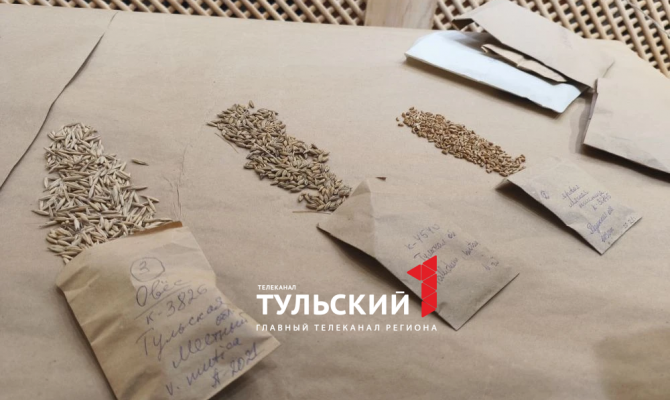 На Куликовом поле под Тулой вырастят историческое зерно