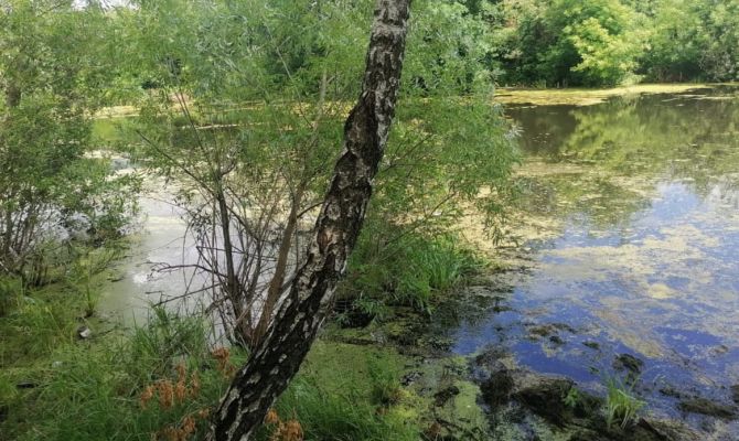 В Суворове утонул 31-летний мужчина