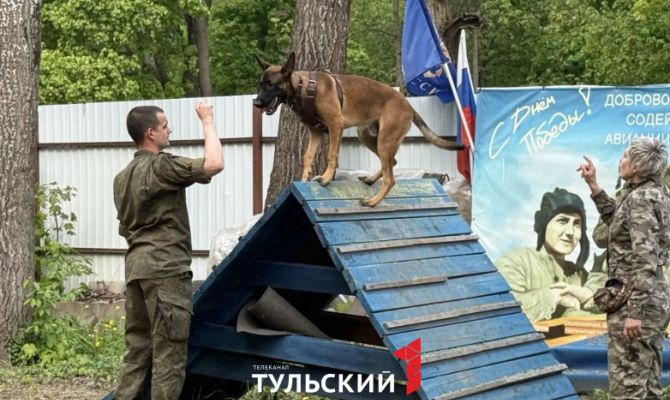 Овчарка помогает бойцу СВО из Тулы проходить реабилитацию