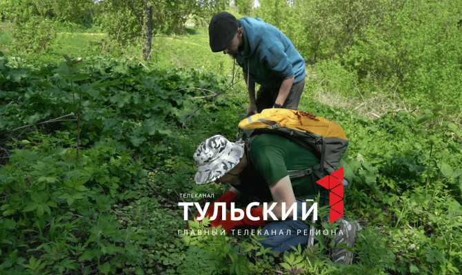 В Тульской области пересчитали змей