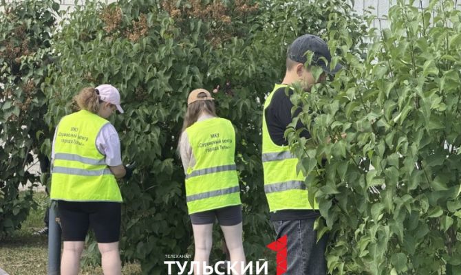 В Алексине подростки создадут молодёжное пространство “Тинариум”