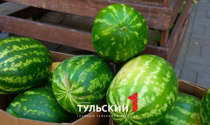 От Дагестана до Волгограда: цены на арбузы и дыни в Туле
