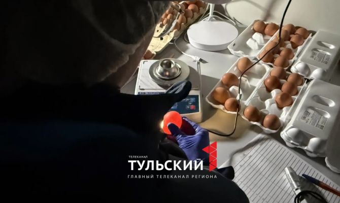 В тульской птицефабрике рассказали, как по скорлупе определить здоровье курицы