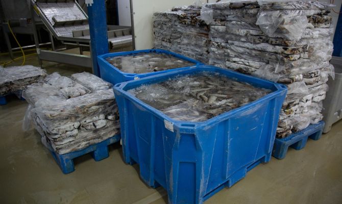 Какие меры поддержки в Тульской области готовы предоставить инвесторам 