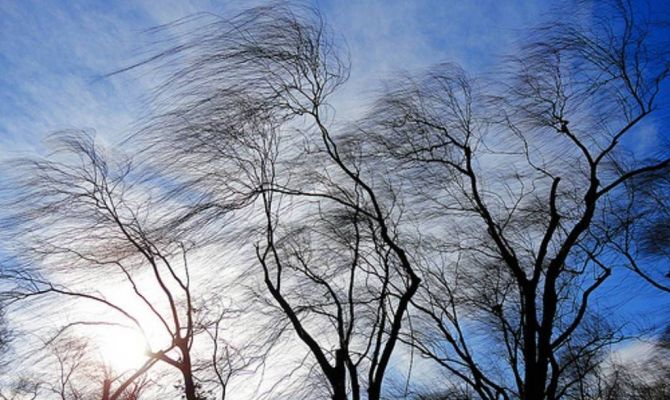 Синоптики обещают «простудную погоду»