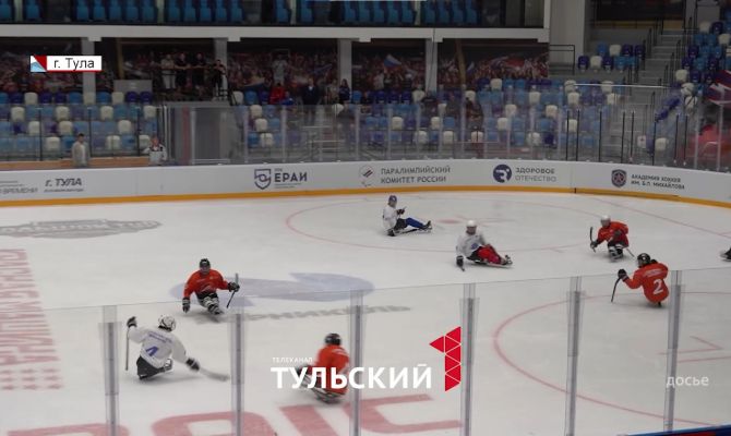 Дмитрий Миляев предложил закрепить за инвалидами в Тульской области кураторов