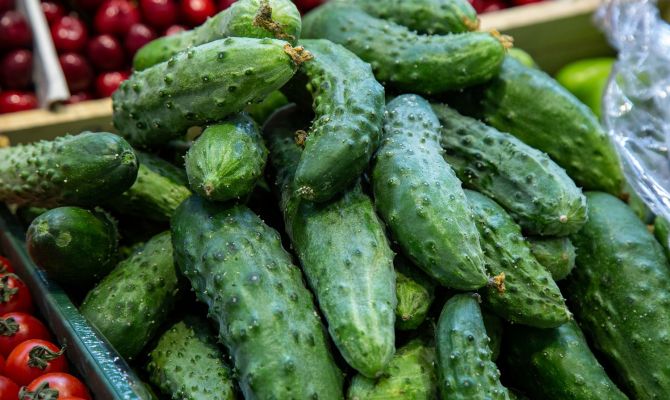 За неделю в Тульской области подорожали огурцы и помидоры