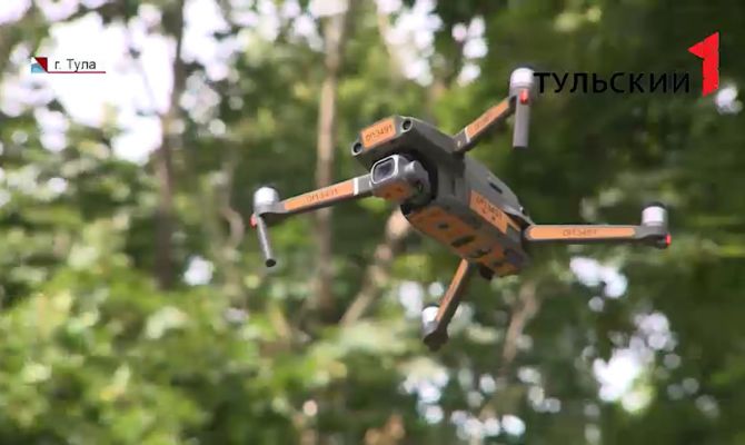 За 8 месяцев 11 человек в Тульской области потерялись в лесах и погибли 