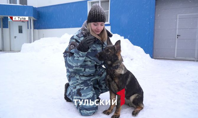 Как "сломать" характер собаки: инструкция от кинолога