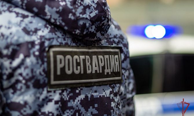 Тульские росгвардейцы предотвратили более 50 правонарушений за неделю