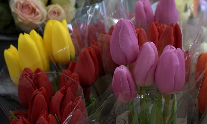 Поставить рога и задержать преступника: как тулячки отмечают 8 Марта