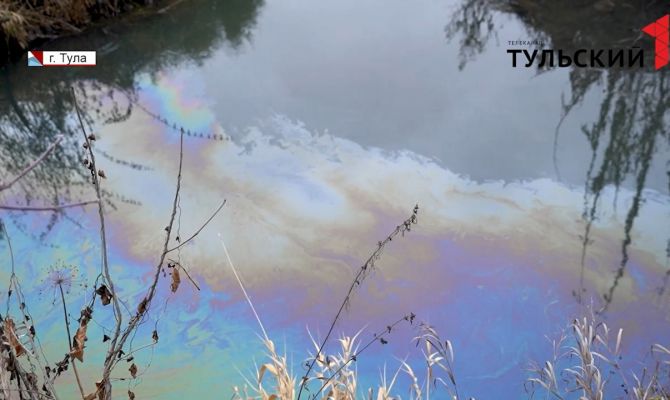 В Тульской области под экологической угрозой оказались сразу две реки