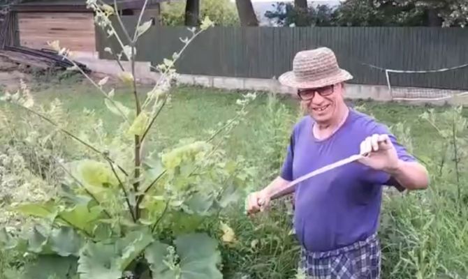 В Алексине мужчина покосил траву казачьей шашкой