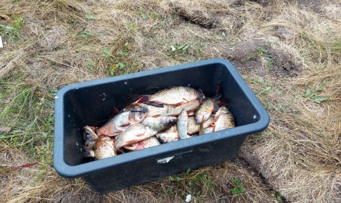 На Щекинском водохранилище поймали двух браконьеров