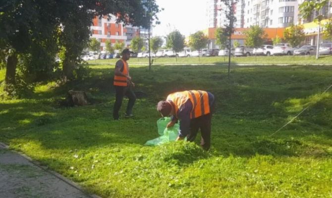 Сбор мусора и покос газонов: в Туле убрали сразу 18 улиц