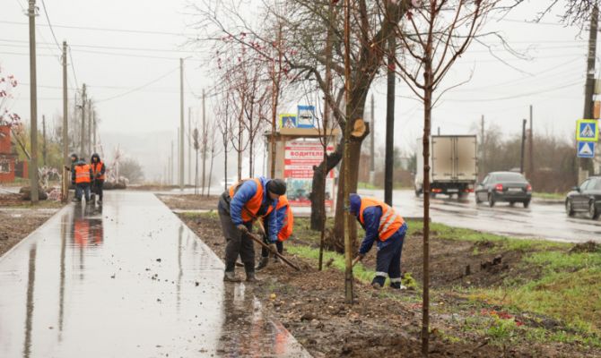 Вдоль веломаршрута "Лев Толстой" в Туле высадили 100 деревьев