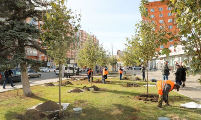 В этом году в Туле высадят почти 3 тысячи деревьев
