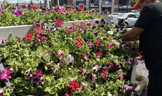 Напротив Центрального стадиона в Туле появится зеленая зона