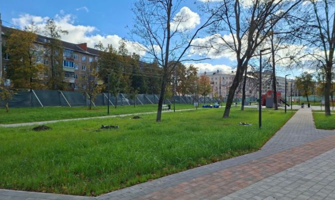 В тульском сквере "Встреча" высадят 25 деревьев