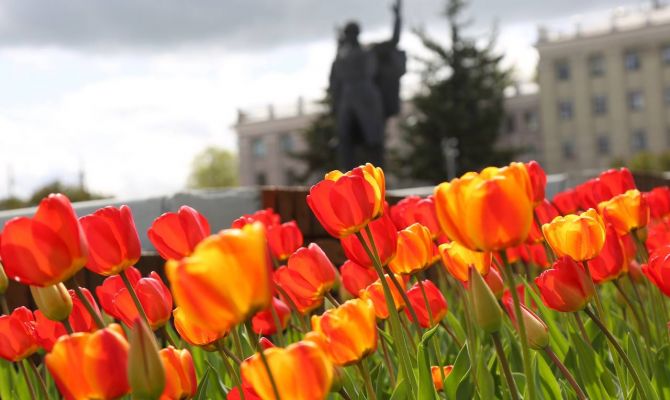 9 мая в Тульской области будет до +7 градусов