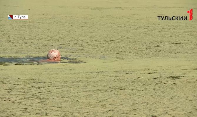 Жители Пролетарского округа Тулы вынуждены купаться в заросшем водорослями пруду