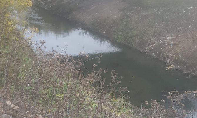 Прокуратура проводит проверку по факту загрязнения реки Воронки