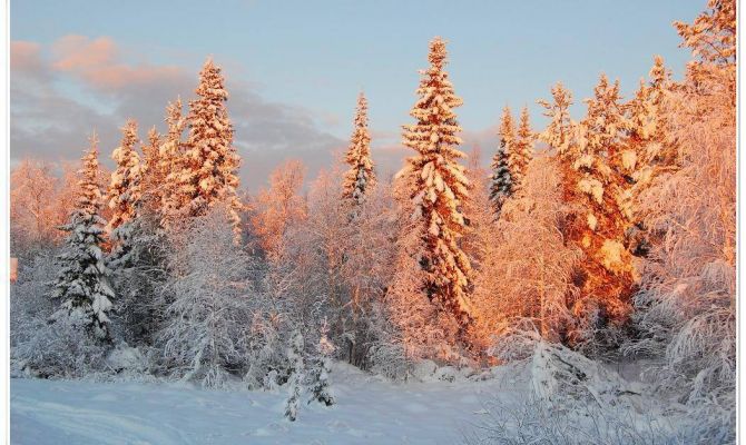 Как в России может измениться погода зимой