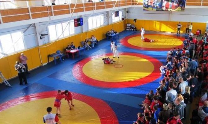 Тульские самбисты привезли медали из Можайска