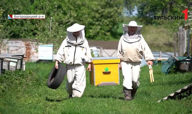 Ждать ли тулякам майского меда