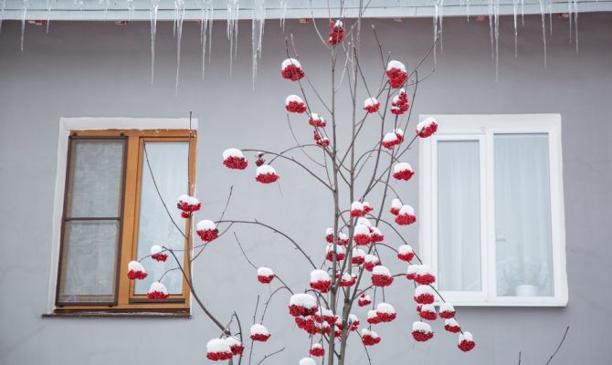 18 января в Тульской области будет пасмурно и ветрено