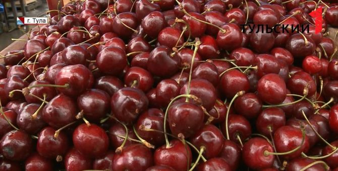 Продают ли в Туле опасную черешню. РЕПОРТАЖ