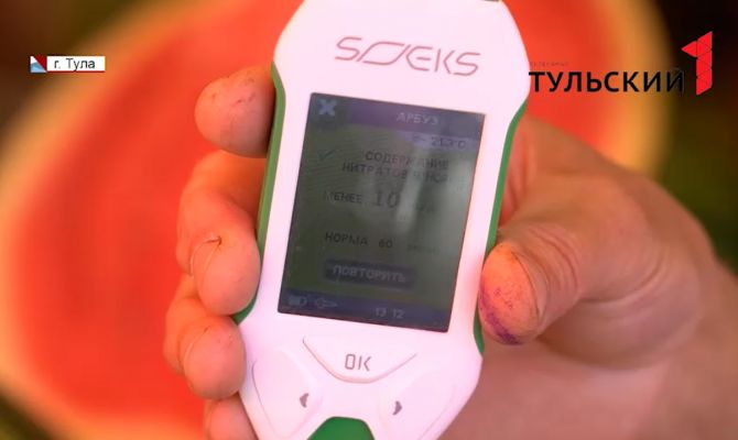 Как исследуют арбузы на развалах в Туле